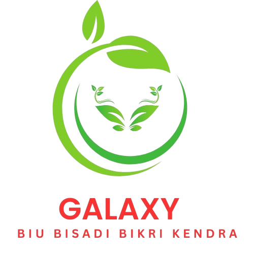 Biu Bisadi Logo